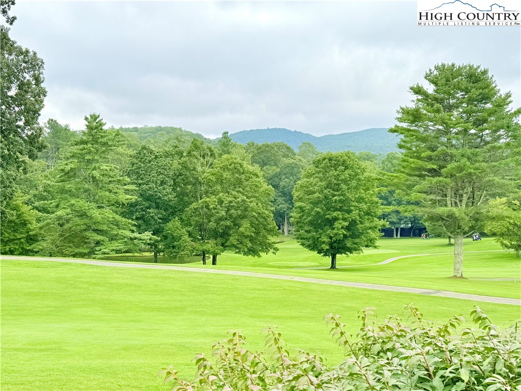 118 Pine Ridge Loop Newland, NC 28657 - Photo 41 of 50 a view of a green field