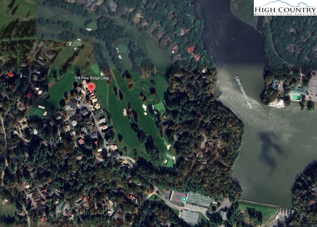 118 Pine Ridge Loop Newland, NC 28657 - Photo 50 of 50 a picture of flowers