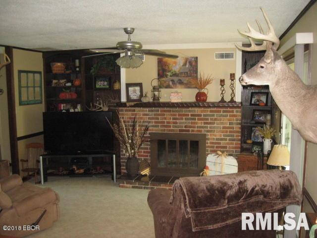 3456 Parker Road Alma, IL 62807 - Photo 4 of 24