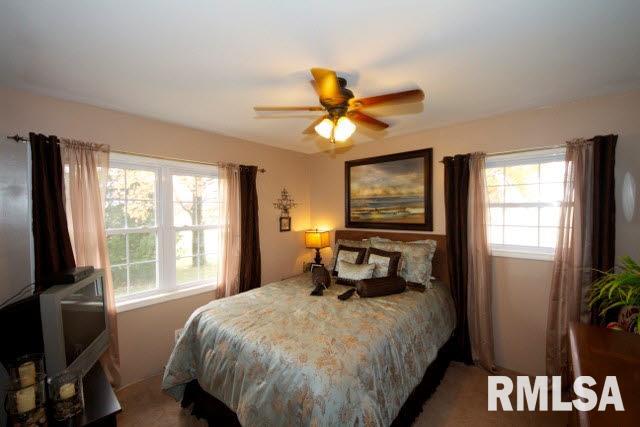 2119 Bethel Road Vergennes, IL 62994 - Photo 20 of 34
