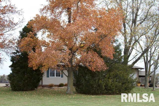 2119 Bethel Road Vergennes, IL 62994 - Photo 27 of 34