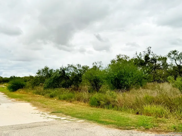 a view of a lake from a yard