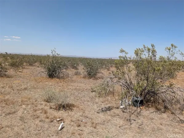 $29,500 | 6 Dos Palmas Road, Pinon Hills, CA 92372