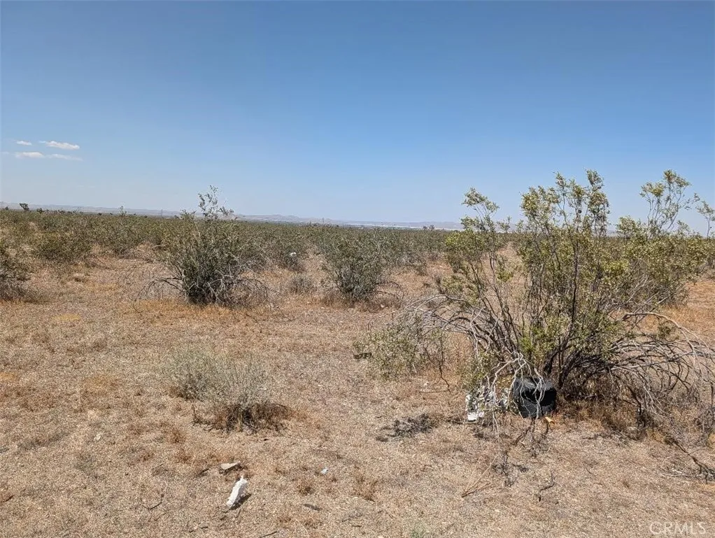 6 Dos Palmas Road Pinon Hills, CA 92372 - Photo 1 of 5 Gallery Image 1