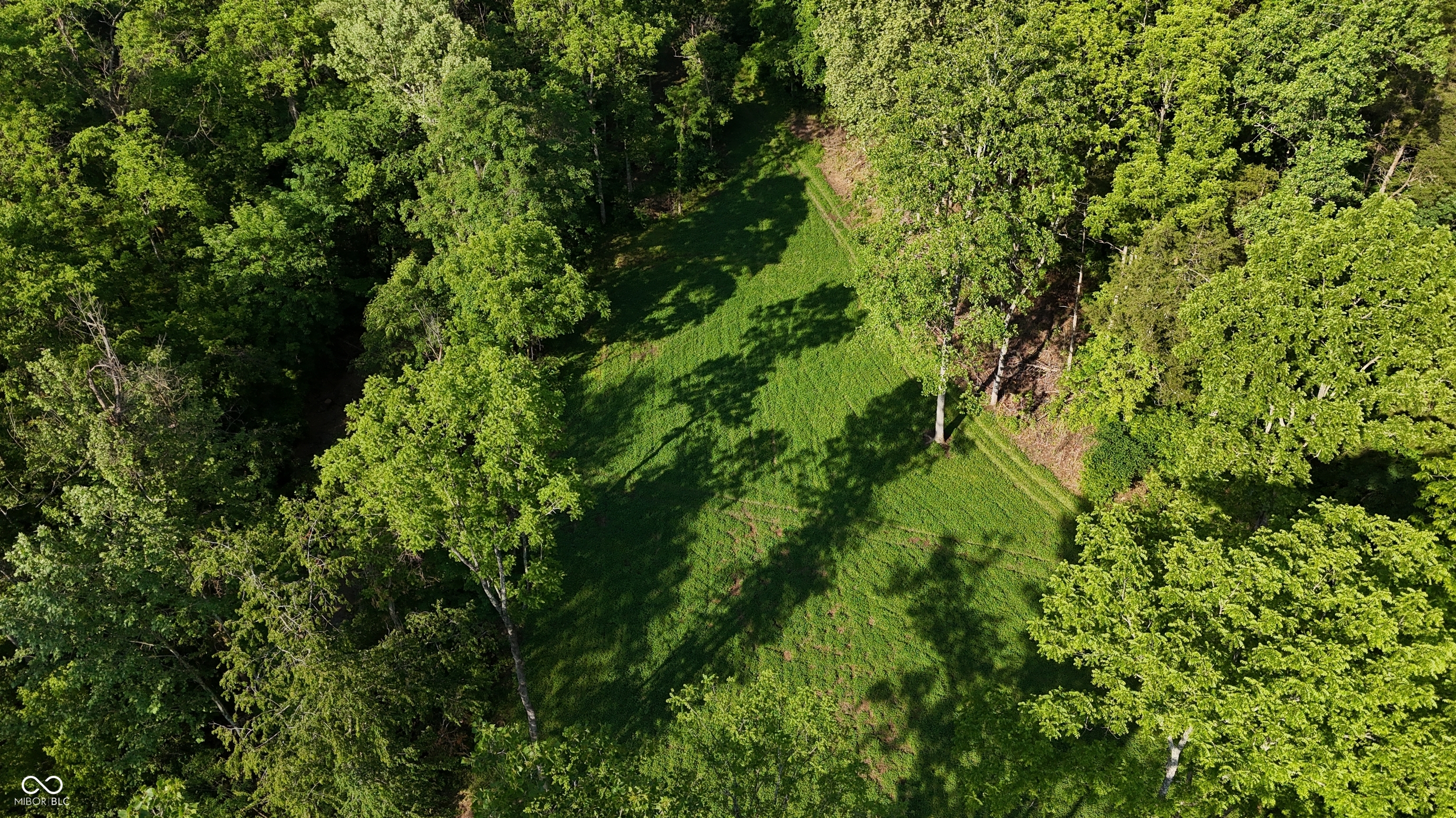 2933 Saluda Hl Road Hanover, IN 47243 - Photo 80 of 122