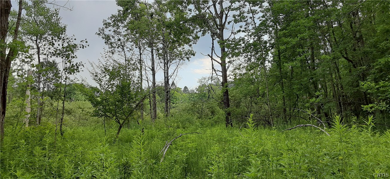 271 Snyder Road Newport, NY 13416 - Photo 14 of 41