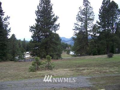 340 Blue Jay Road Cle Elum, WA 98922 - Photo 11 of 20 Gallery Image 11