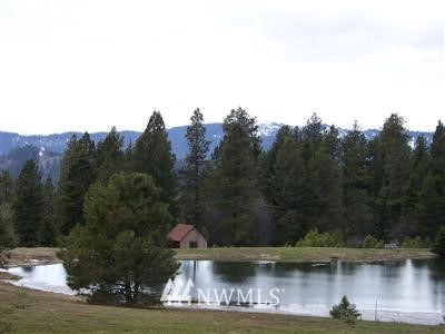 340 Blue Jay Road Cle Elum, WA 98922 - Photo 12 of 20 Gallery Image 12