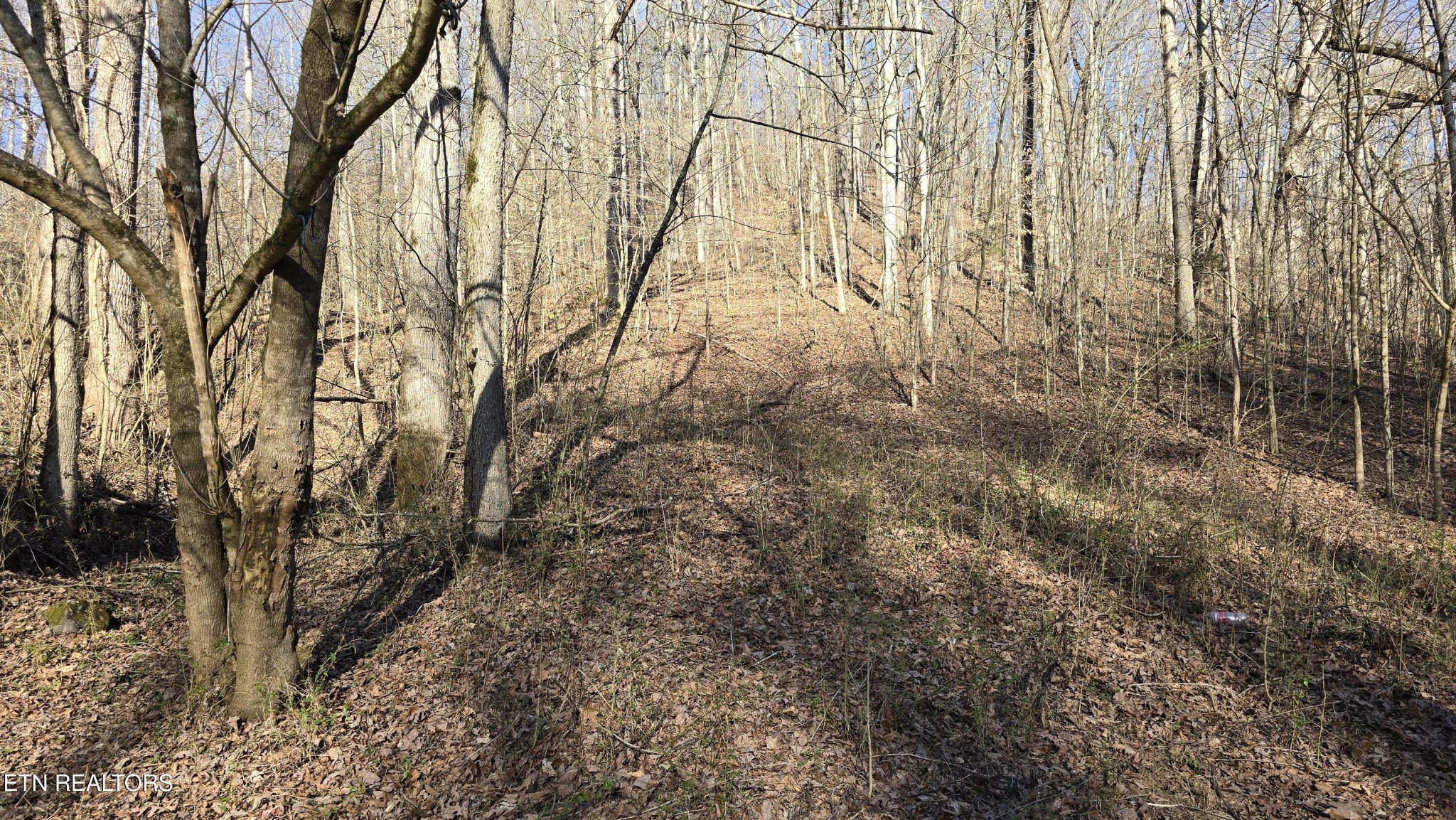 0 Red Ankle Road Sweetwater, TN 37874 - Photo 24 of 32 Gallery Image 24