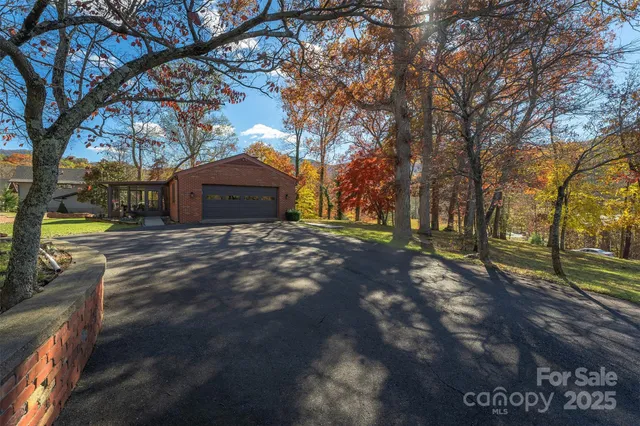 a view of a yard with a large tree