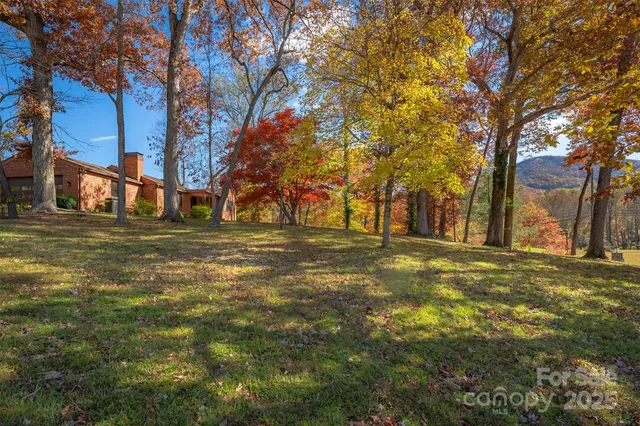 a backyard of apartments with large trees