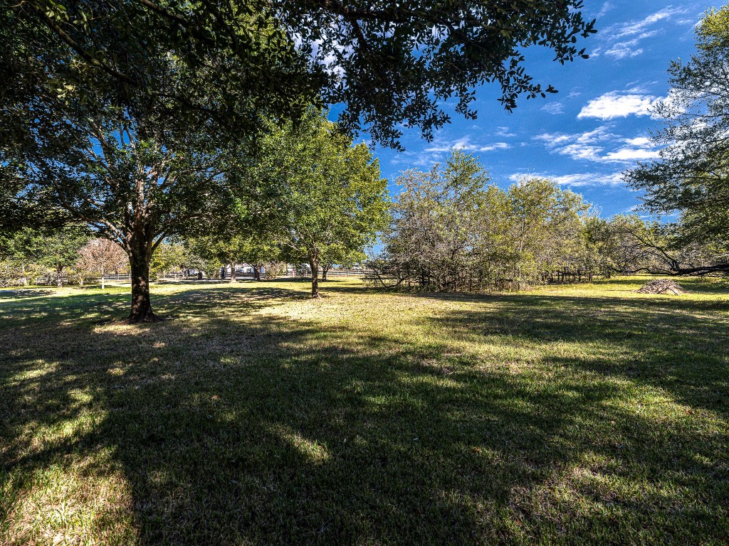 32601 Rogers Road Fulshear, TX 77441 - Photo 6 of 50 Look at this extraordinary space! You'll feel like your in a lush park with Pecan and Oak trees.