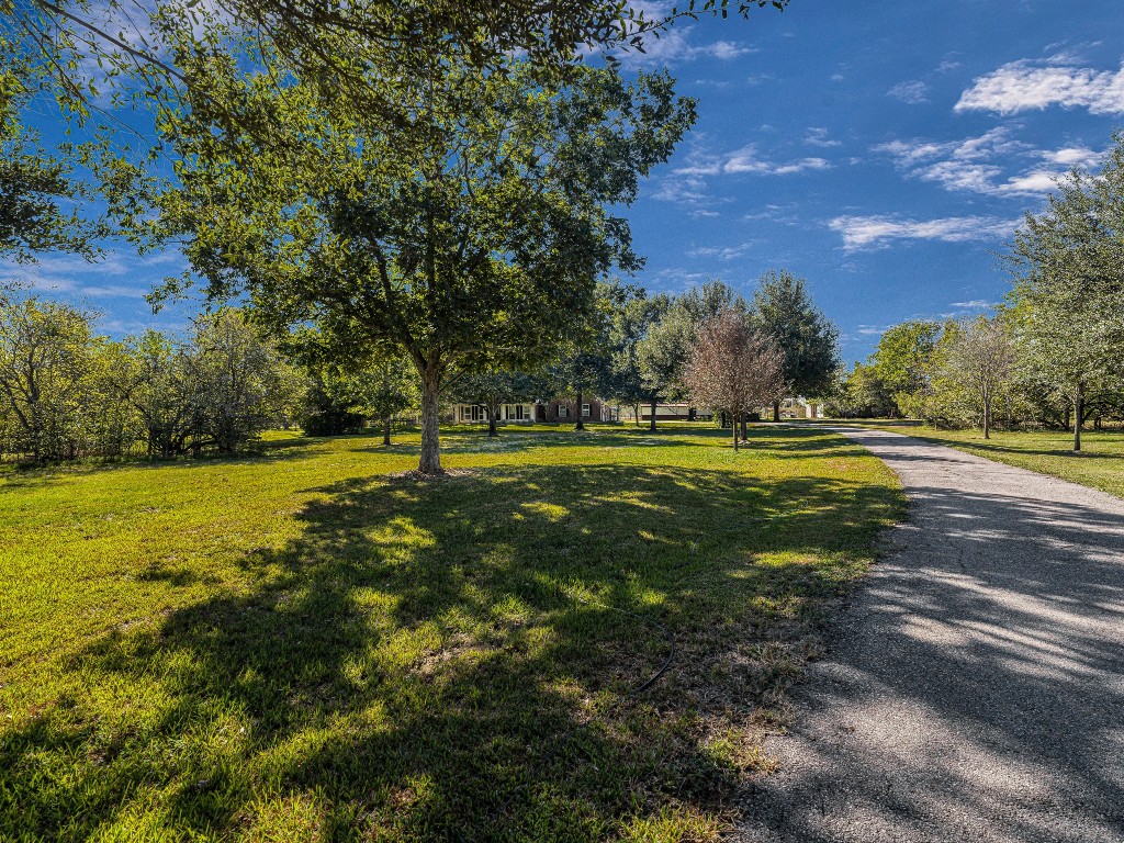 32601 Rogers Road Fulshear, TX 77441 - Photo 7 of 50