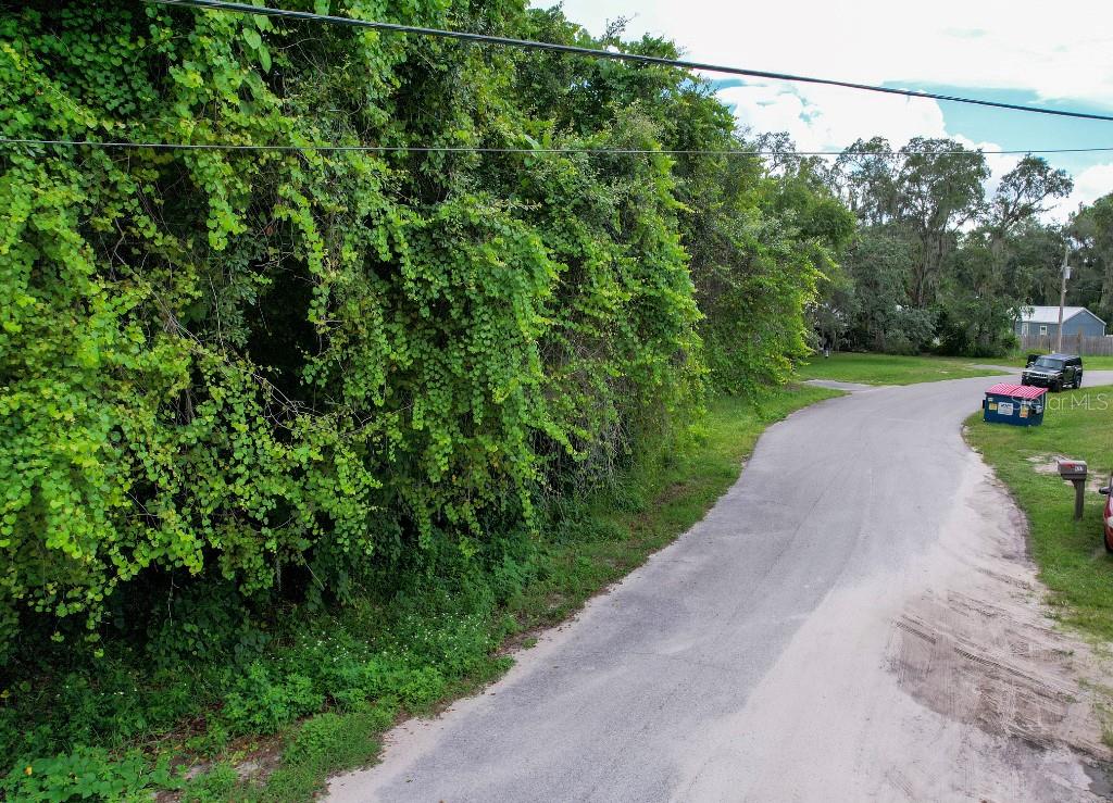 36 Poplar Street New Port Richey, FL 34654 - Photo 12 of 12 a view of a garden with a pathway