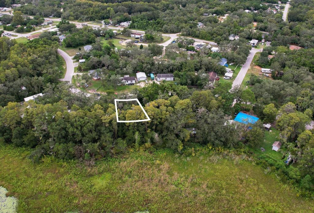 36 Poplar Street New Port Richey, FL 34654 - Photo 4 of 12 an aerial view of residential house with outdoor space and trees all around
