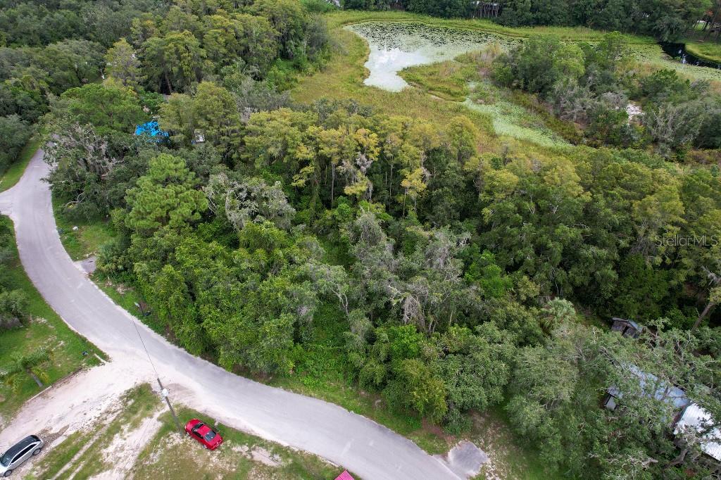 36 Poplar Street New Port Richey, FL 34654 - Photo 5 of 12 a view of a lake view