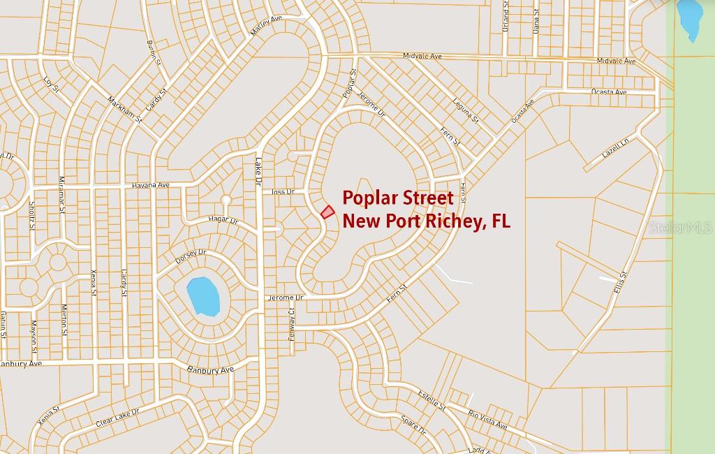 36 Poplar Street New Port Richey, FL 34654 - Photo 7 of 12 close up of a white wall