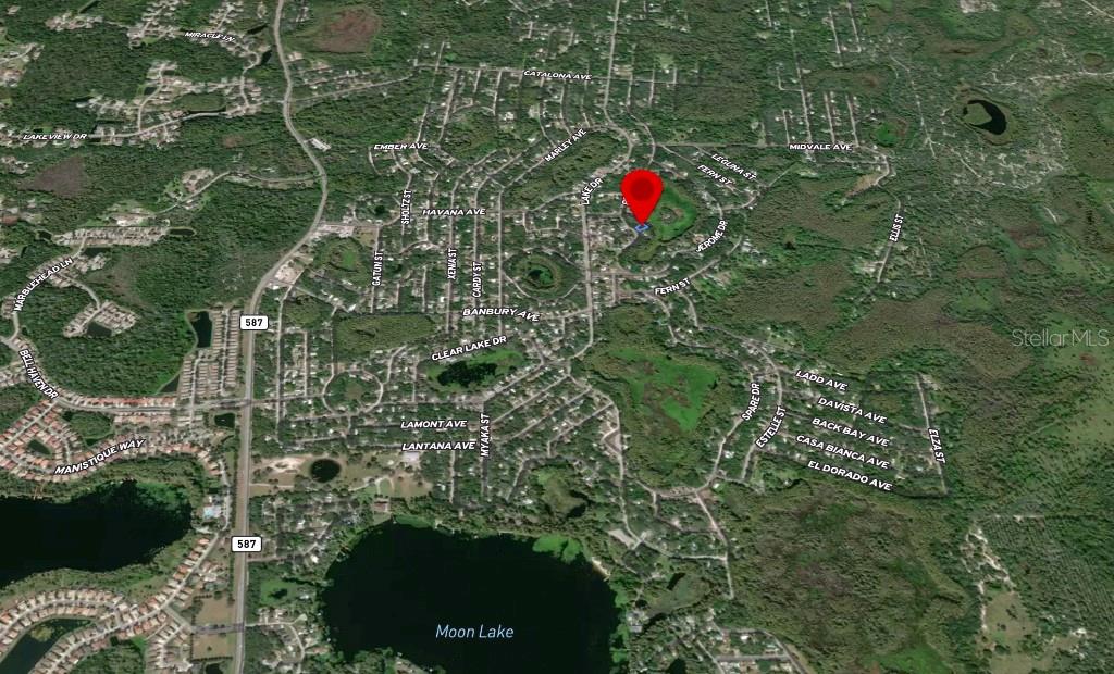 36 Poplar Street New Port Richey, FL 34654 - Photo 8 of 12 a view of a flower