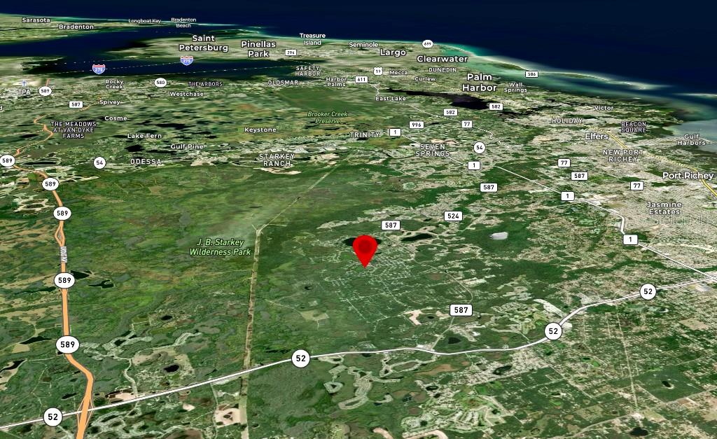 36 Poplar Street New Port Richey, FL 34654 - Photo 9 of 12 a view of bunch of flowers