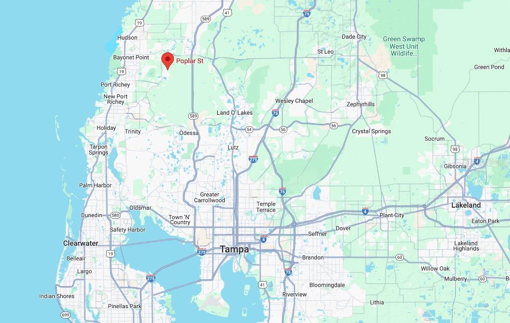 36 Poplar Street New Port Richey, FL 34654 - Photo 10 of 12