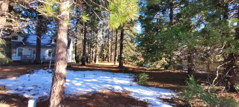 0 Holiday Rd Mount Mount Shasta, CA 96067 - Photo 2 of 10 Holiday Rd
