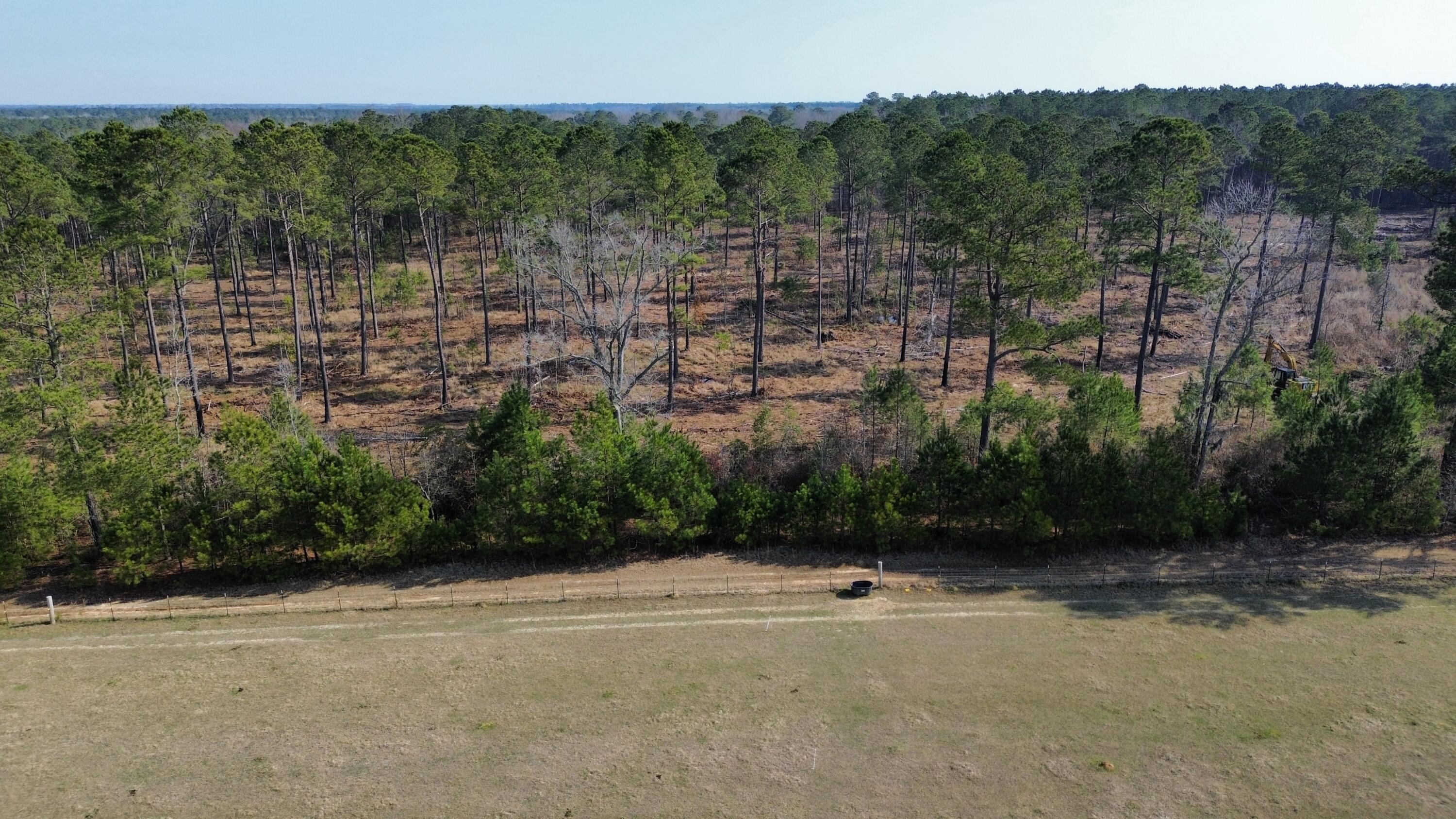 1647 Smoak Road Walterboro, SC 29488 - Photo 25 of 39 dji_fly_20250205_111356_69_1738772136814
