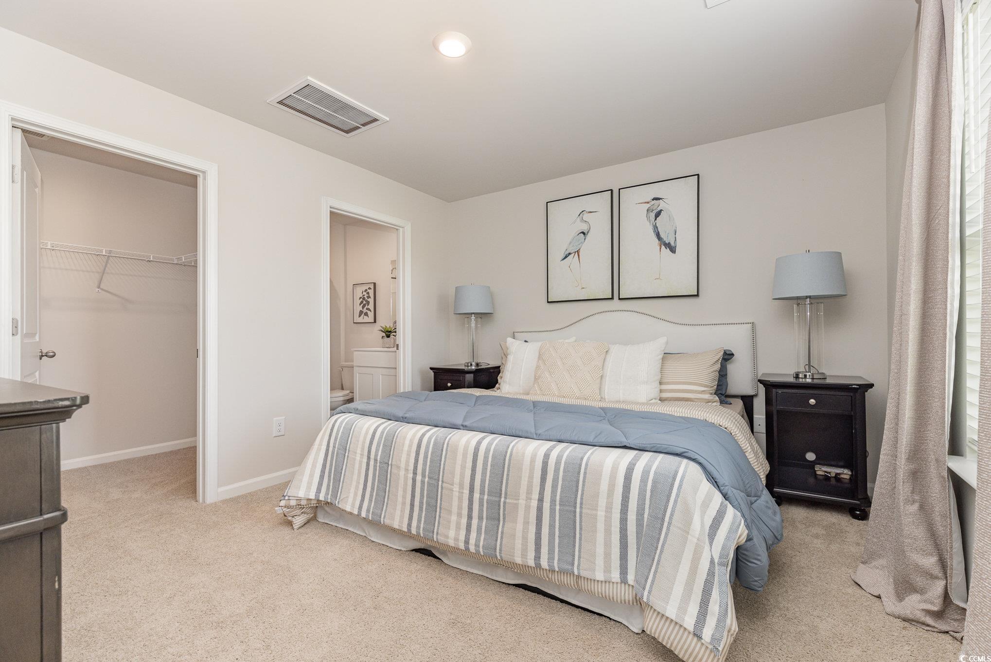 563 Strawberry Fld Way Galivants Ferry, SC 29544 - Photo 12 of 30 Bedroom featuring carpet, a spacious closet, ensuite bathroom, and a closet