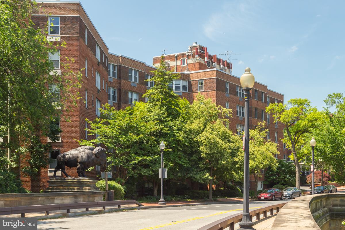 2500 Q Street Northwest, Unit 216 Washington, DC 20007 - Photo 36 of 38 a front view of a building with tree s