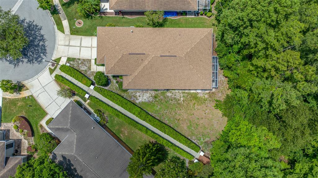 7740 Craighurst Loop Trinity, FL 34655 - Photo 63 of 65