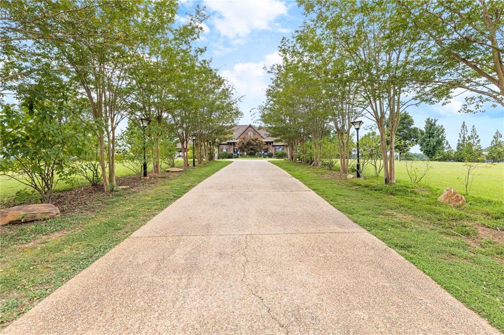 2932 Highway 124 Jefferson, GA 30549 - Photo 5 of 46 a view of a park with large trees