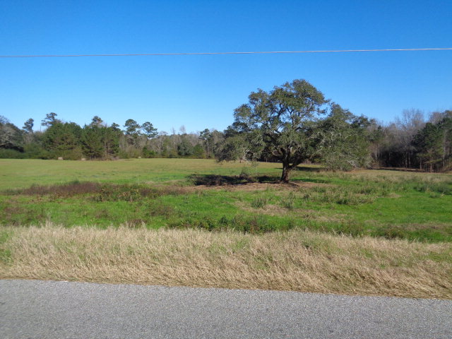 6.9 Lucy Grade Road Ashford, AL 36312 - Photo 1 of 1
