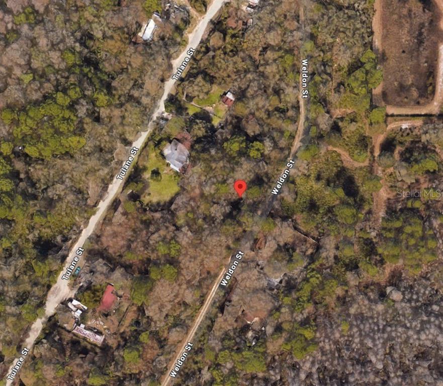 0 Weldon Street New Port Richey, FL 34654 - Photo 3 of 5 a backyard of a house with a yard