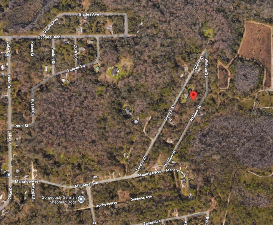 0 Weldon Street New Port Richey, FL 34654 - Photo 4 of 5 a picture of door