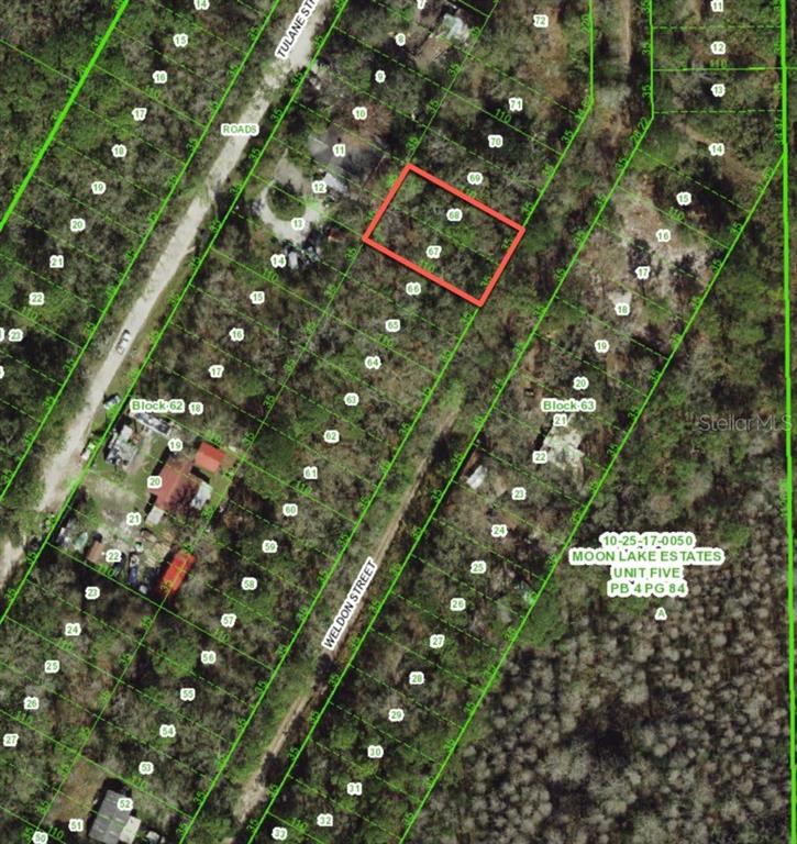 0 Weldon Street New Port Richey, FL 34654 - Photo 5 of 5 a picture of street light