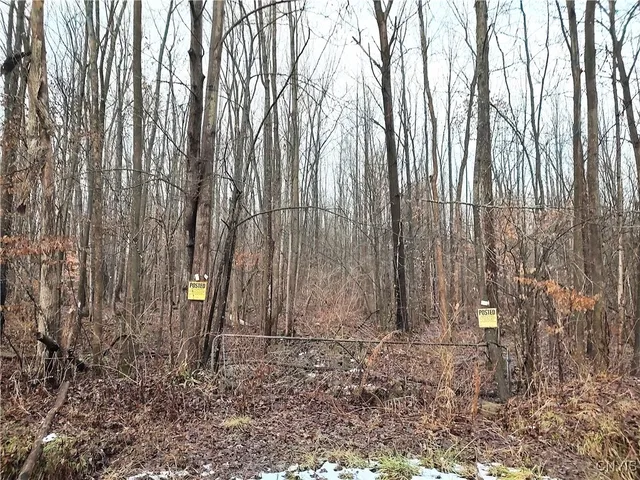 $49,000 | Stephens Road, Lenox, NY 13032