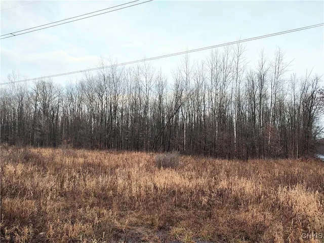 $49,000 | Stephens Road, Lenox, NY 13032