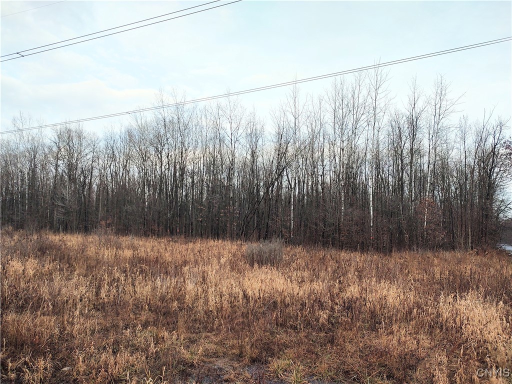 Stephens Road Lenox, NY 13032 - Photo 13 of 14