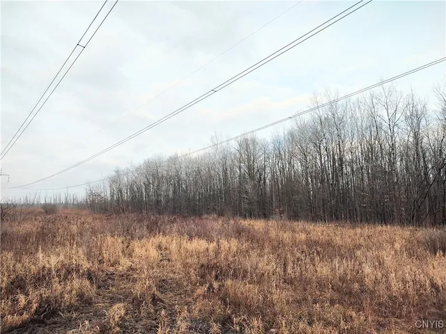 $49,000 | Stephens Road, Lenox, NY 13032