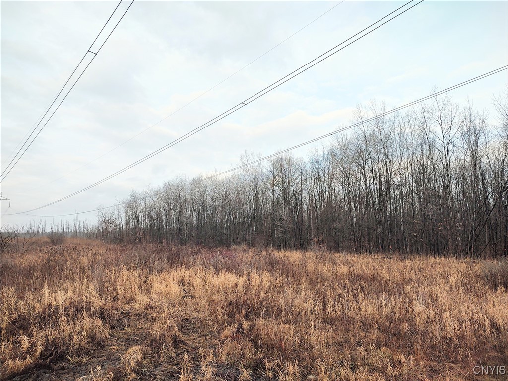 Stephens Road Lenox, NY 13032 - Photo 14 of 14