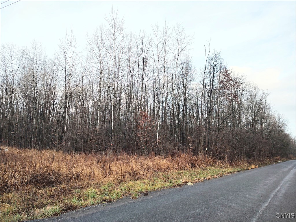 Stephens Road Lenox, NY 13032 - Photo 2 of 14