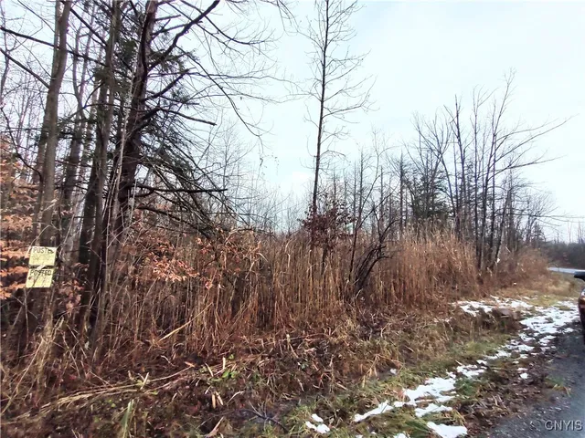 $49,000 | Stephens Road, Lenox, NY 13032