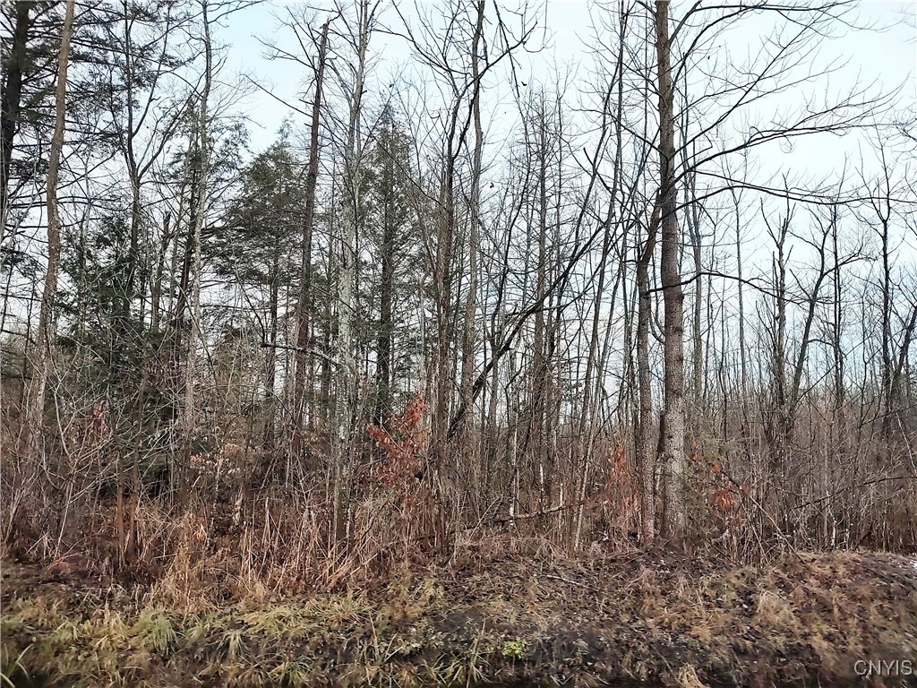 Stephens Road Lenox, NY 13032 - Photo 8 of 14