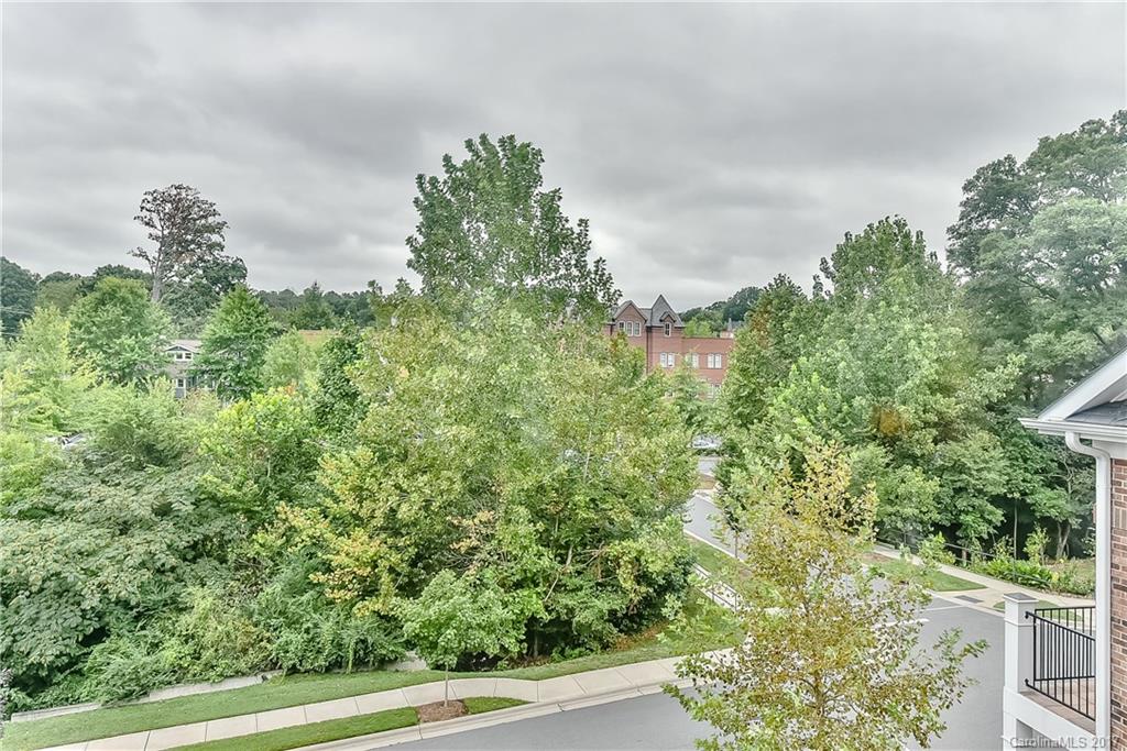 431 Spring Street Davidson, NC 28036 - Photo 23 of 24 Gallery Image 23