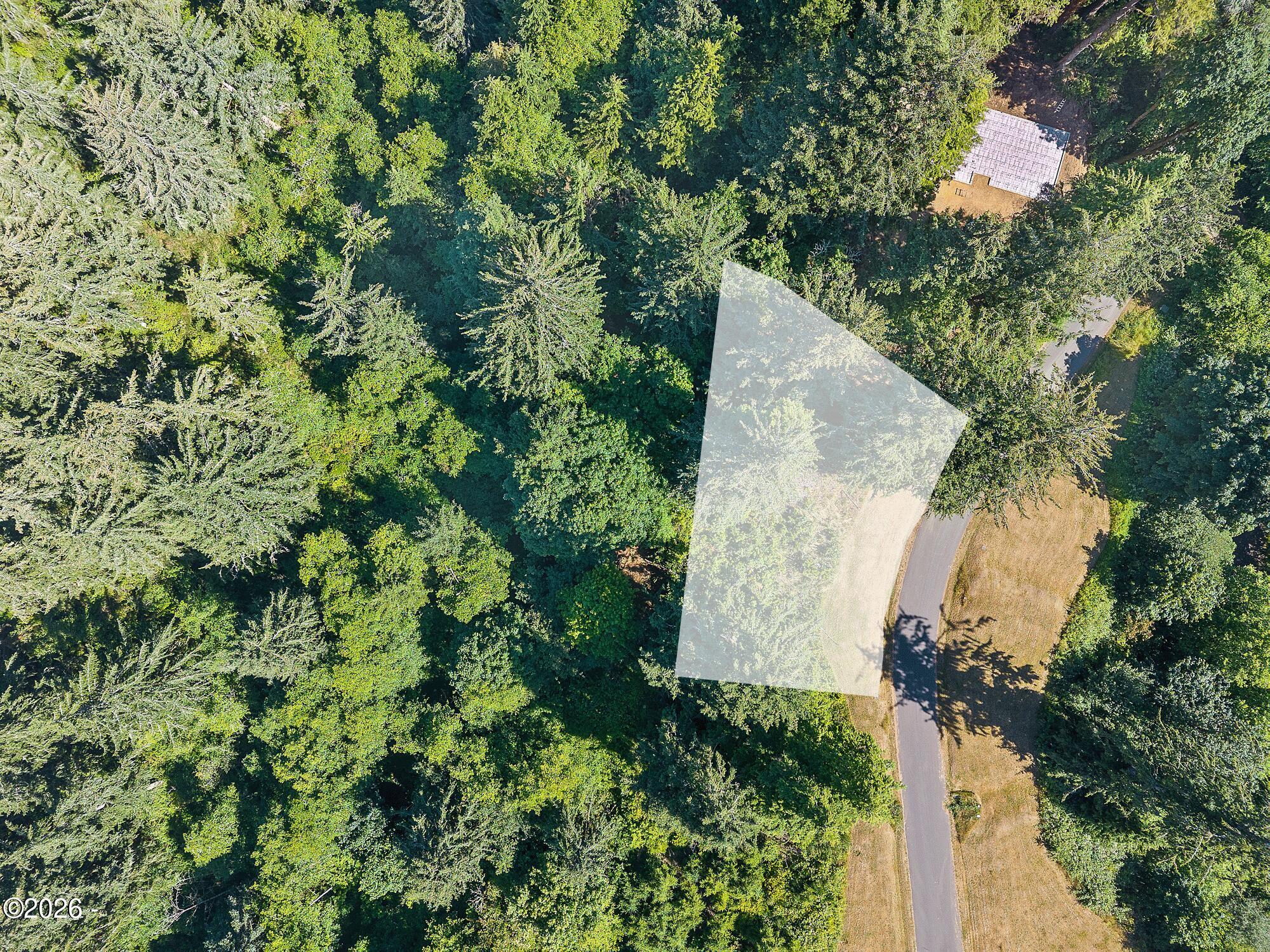 2000 Nehalem Point Drive Nehalem, OR 97131 - Photo 6 of 12 DJI_20250630103901_0015_D-1