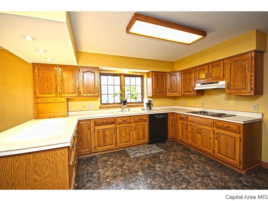 2516 Wydown Avenue Springfield, IL 62704 - Photo 13 of 36 Gallery Image 13