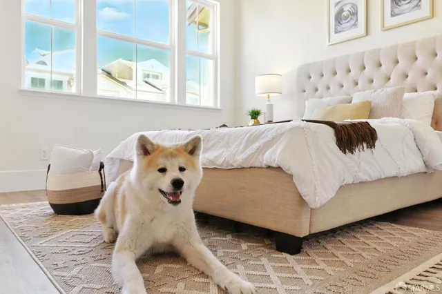 $1,495,000 | 1718 20th Avenue, San Francisco, CA 94122