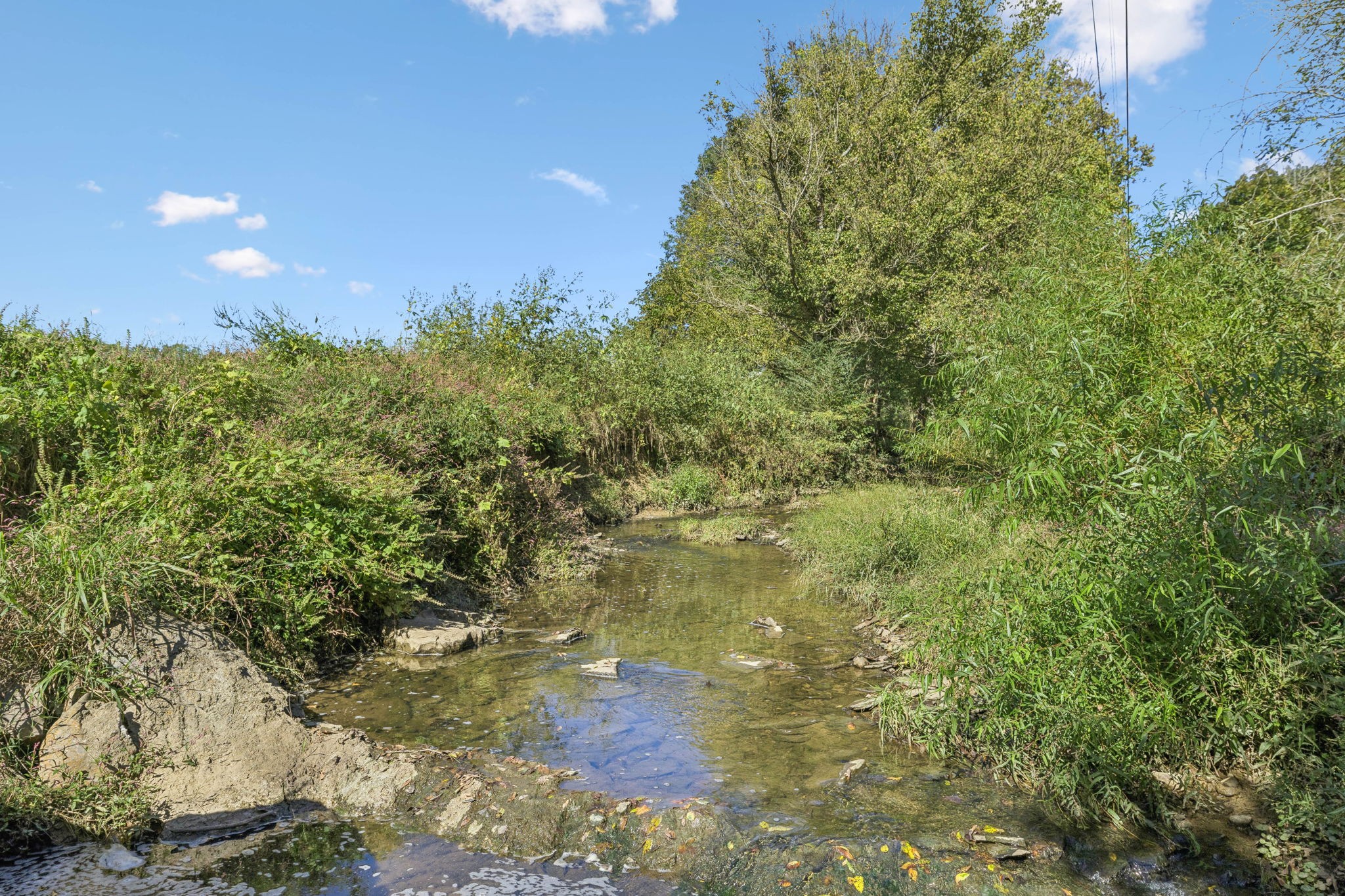 284 Duck Branch Road Fayetteville, TN 37334 - Photo 42 of 47 a view of a yard