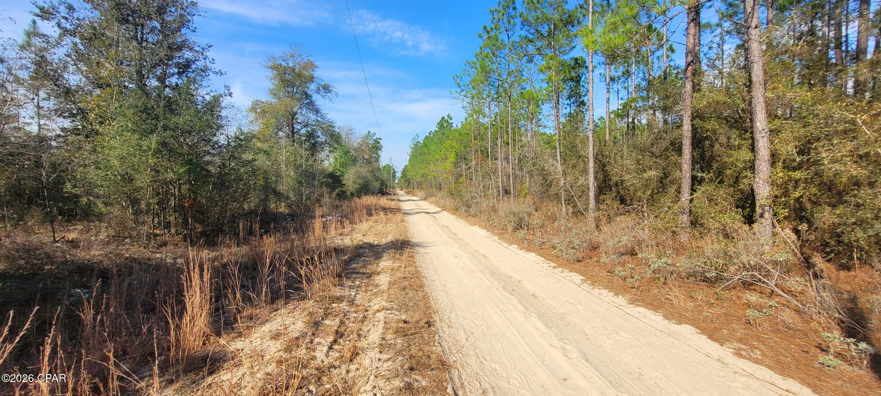 0 Cherokee Road Altha, FL 32421 - Photo 8 of 13