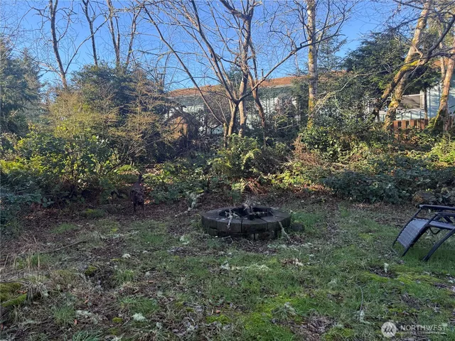 a backyard of a house with lots of green space