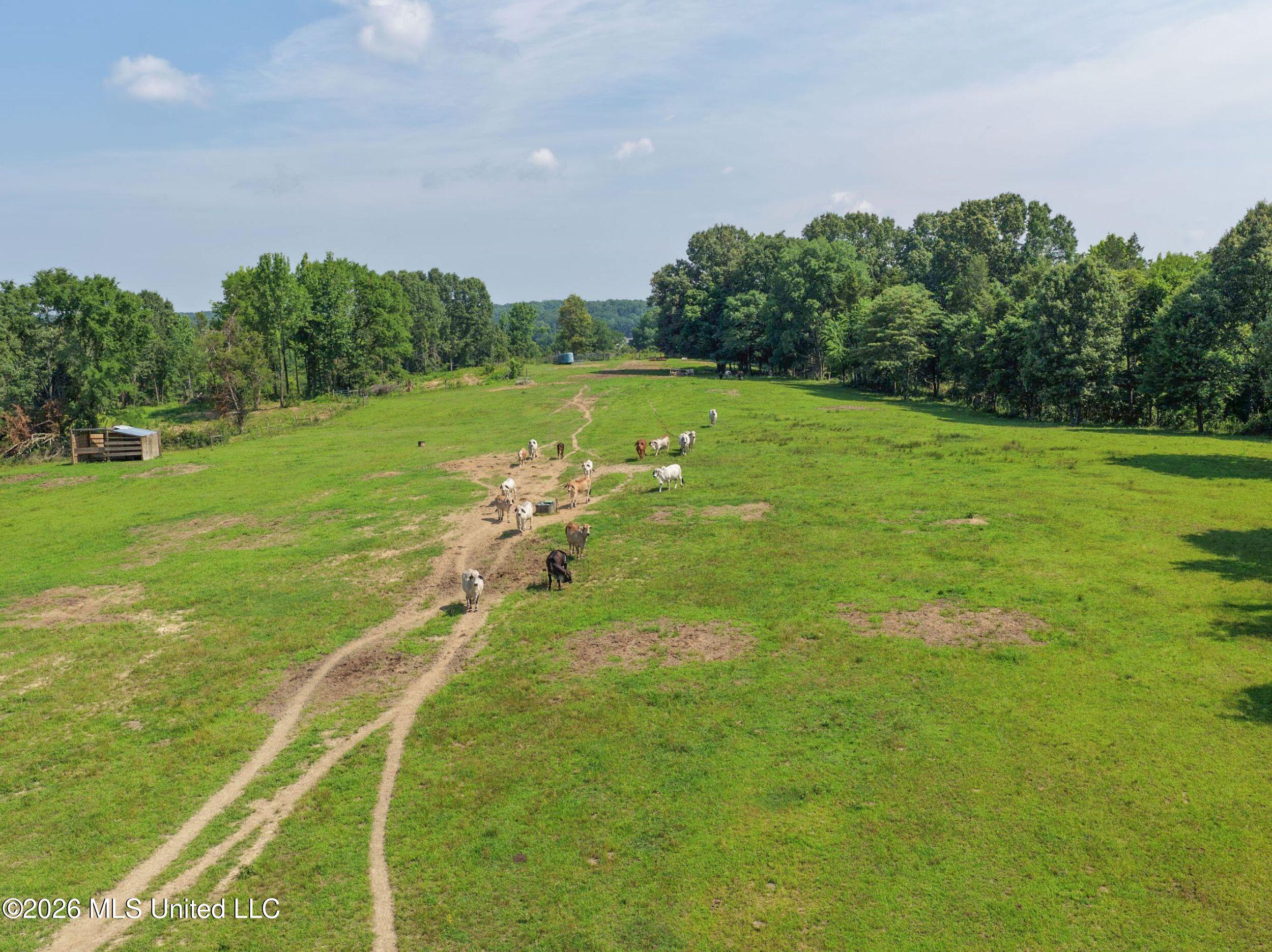 2169 Slocum Road Hernando, MS 38632 - Photo 39 of 94 5slcm31